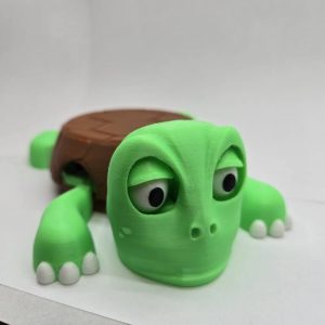 Turtle Cup Coaster
